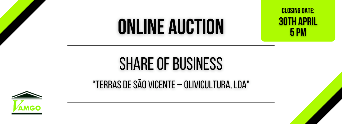 Online Auction of Share of Business - Terras de São Vicente